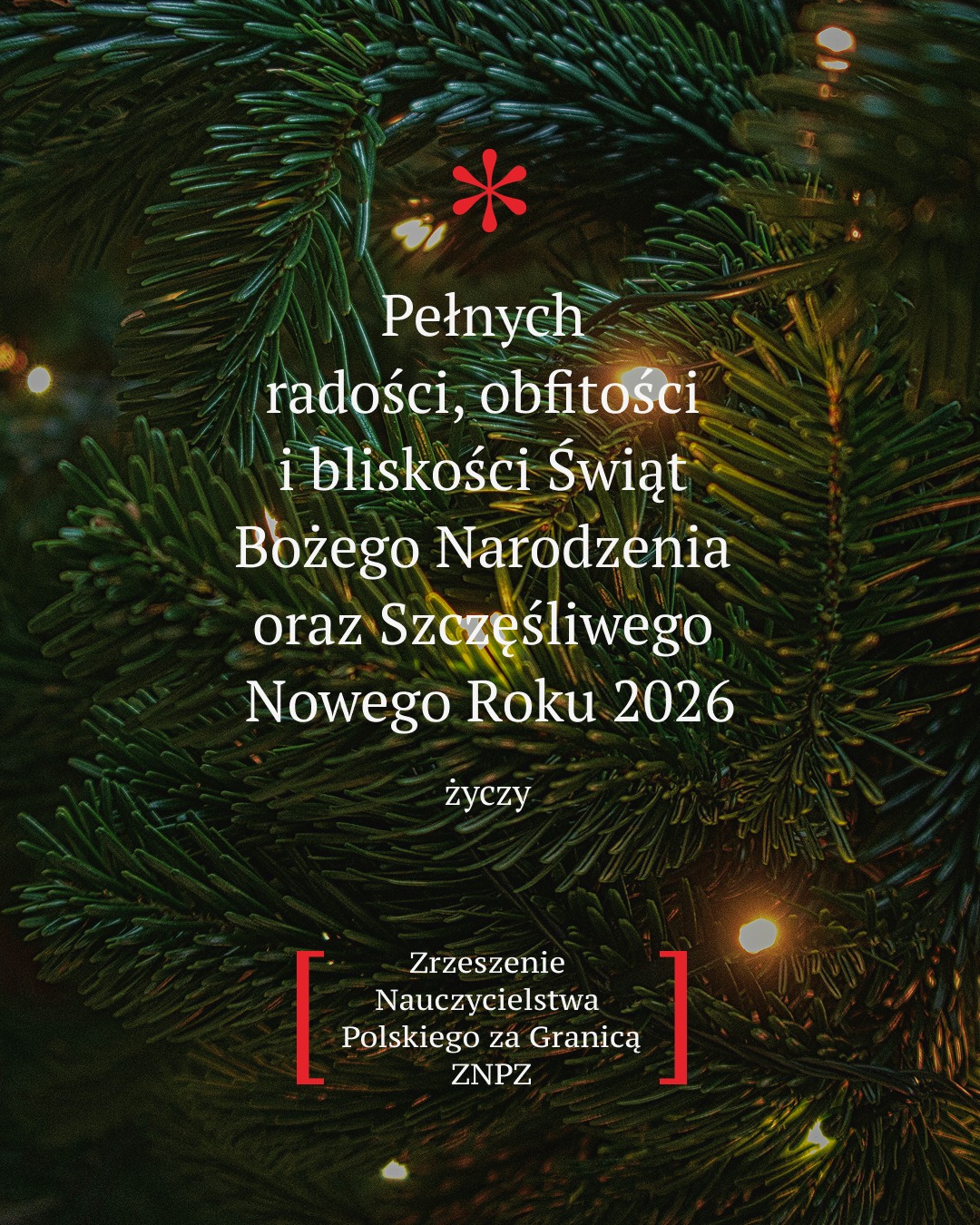 Pełnych radości, obfitości i bliskości Świąt Bożego Narodzenia oraz Szczęśliwego Nowego Roku 2026 życzy Zarząd ZNPZ